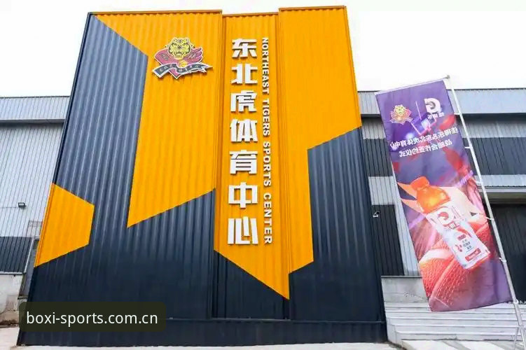 博喜体育体验如何最新版 博喜体育体验如何最新版:旧版 vs 新版,功能与观赛体验全面对比